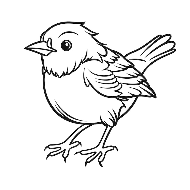 Premium vector lark coloring pages for kid