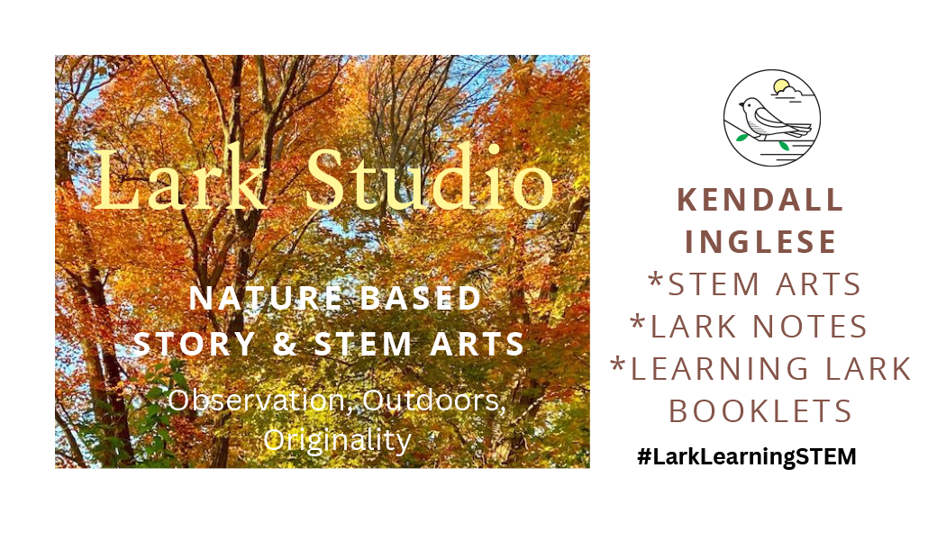 Lark studio