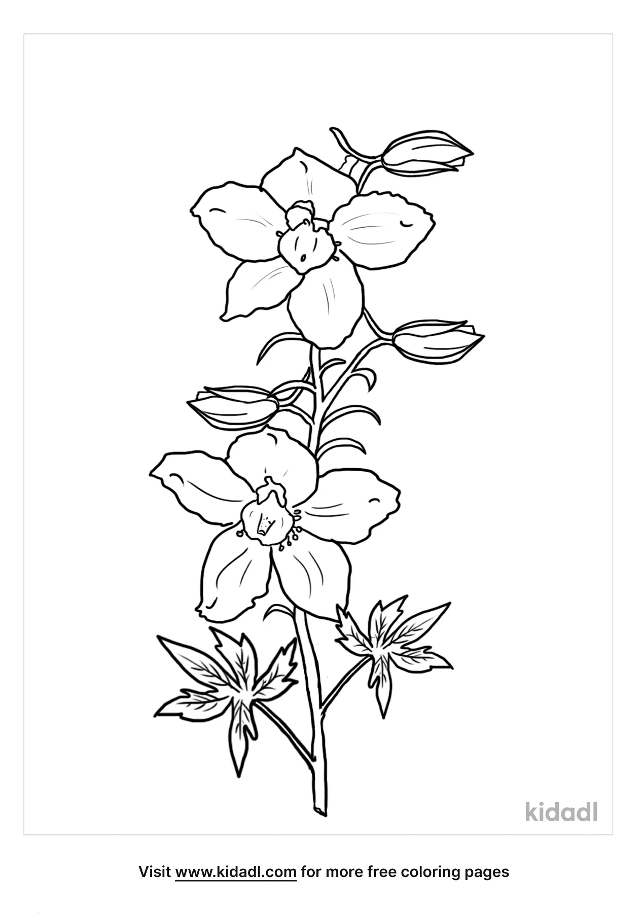 Free larkspur coloring page coloring page printables