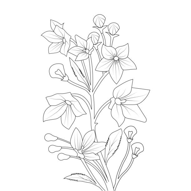 Purple flower blooming stock illustrations royalty