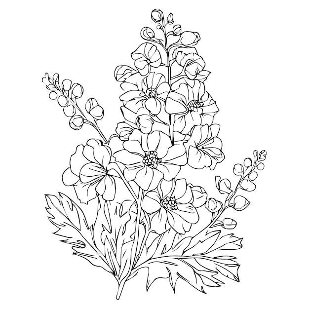 Premium vector poppy flower vector pretty flower coloring pages poppy flowers coloring sheet august birth poppy