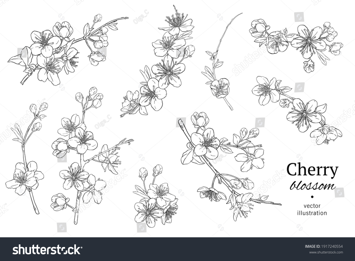 Thousand cherry flower tattoo royalty