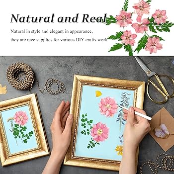 Pcs pink dried pressed larkspur flowers real natural dried pressed delphinium flowers dry flowers for resin diy ornament crafts candle making