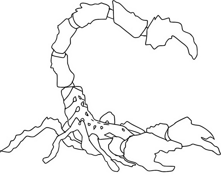 Coloring page eldrador creatures lava scorpion