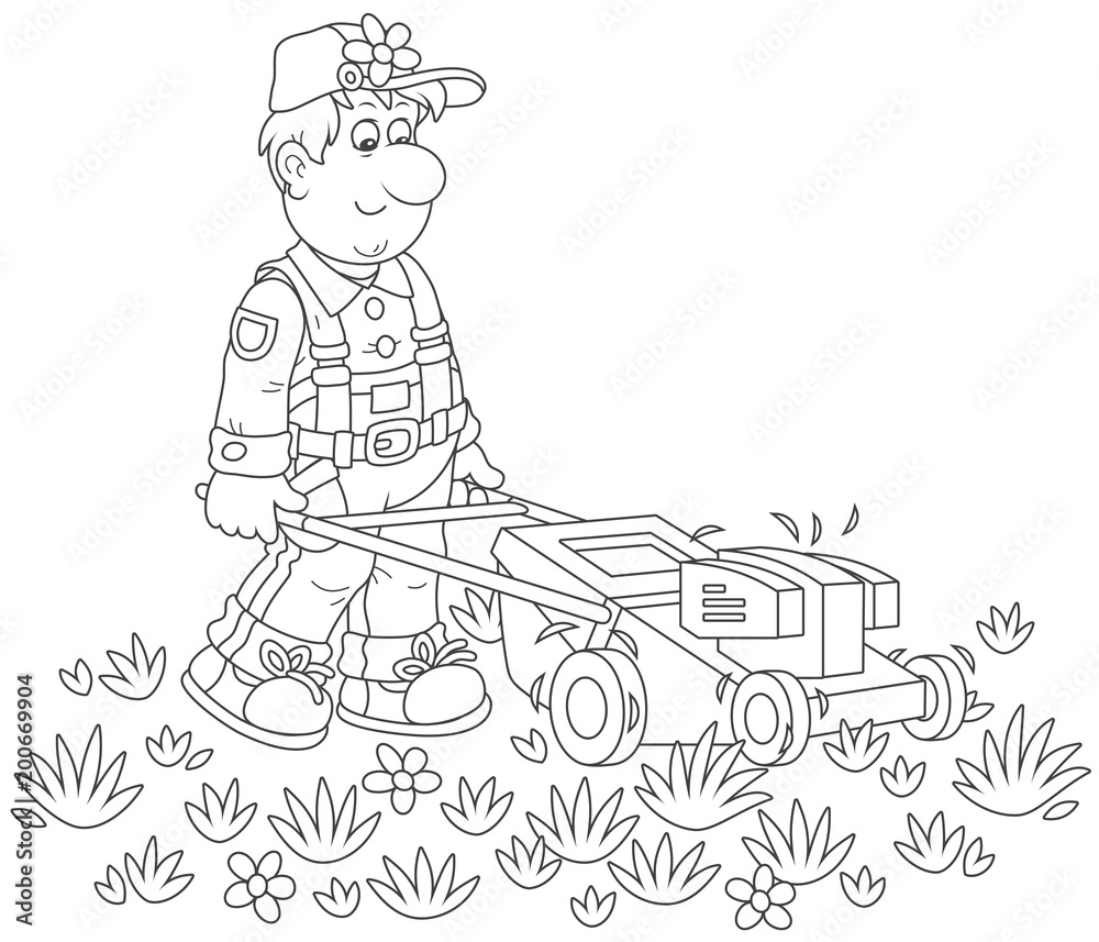 Lawn