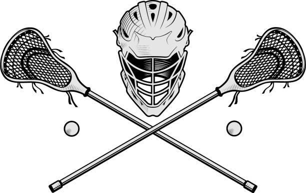 Lacrosse stock illustrations royalty