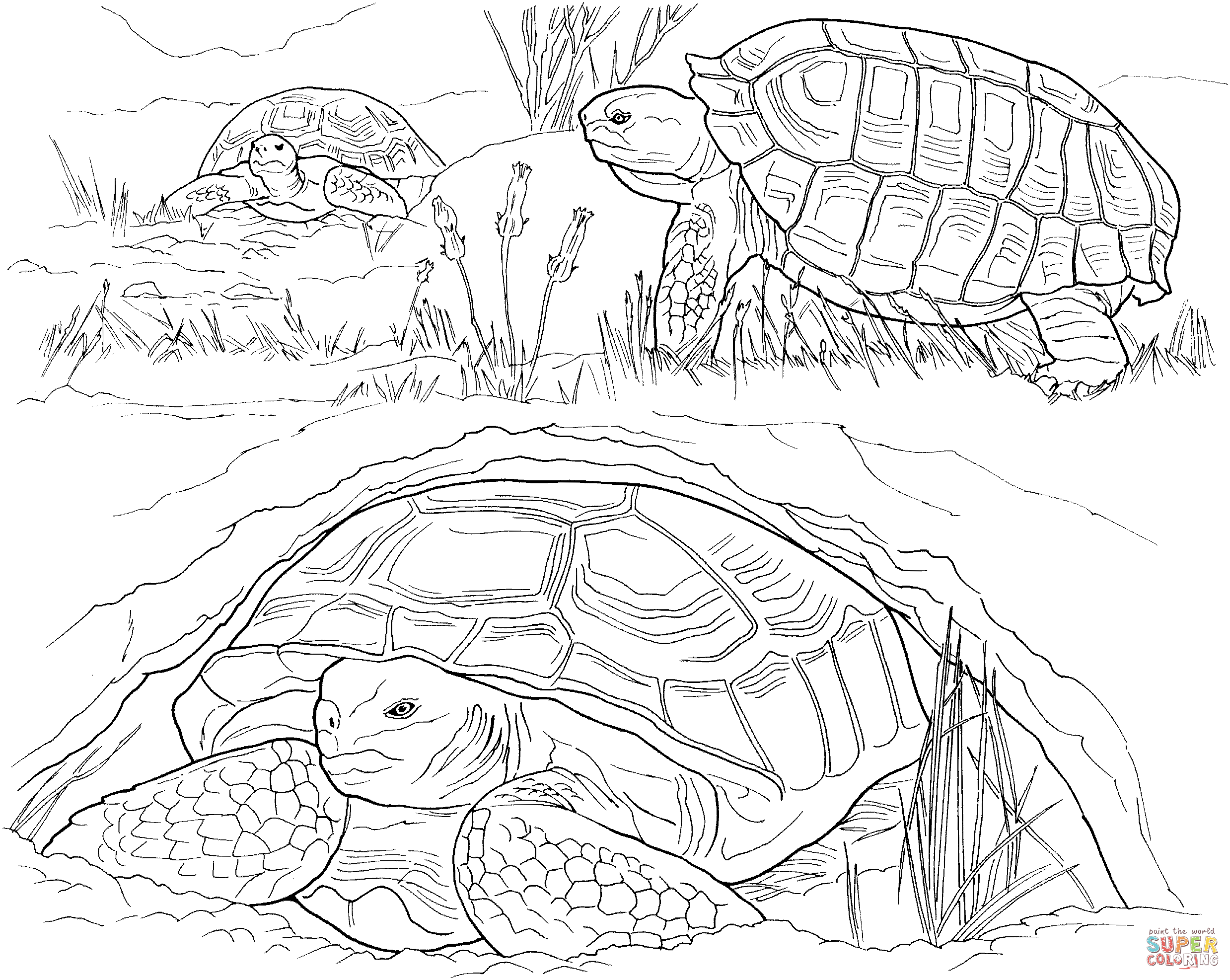 Turtles laying eggs coloring page free printable coloring pages
