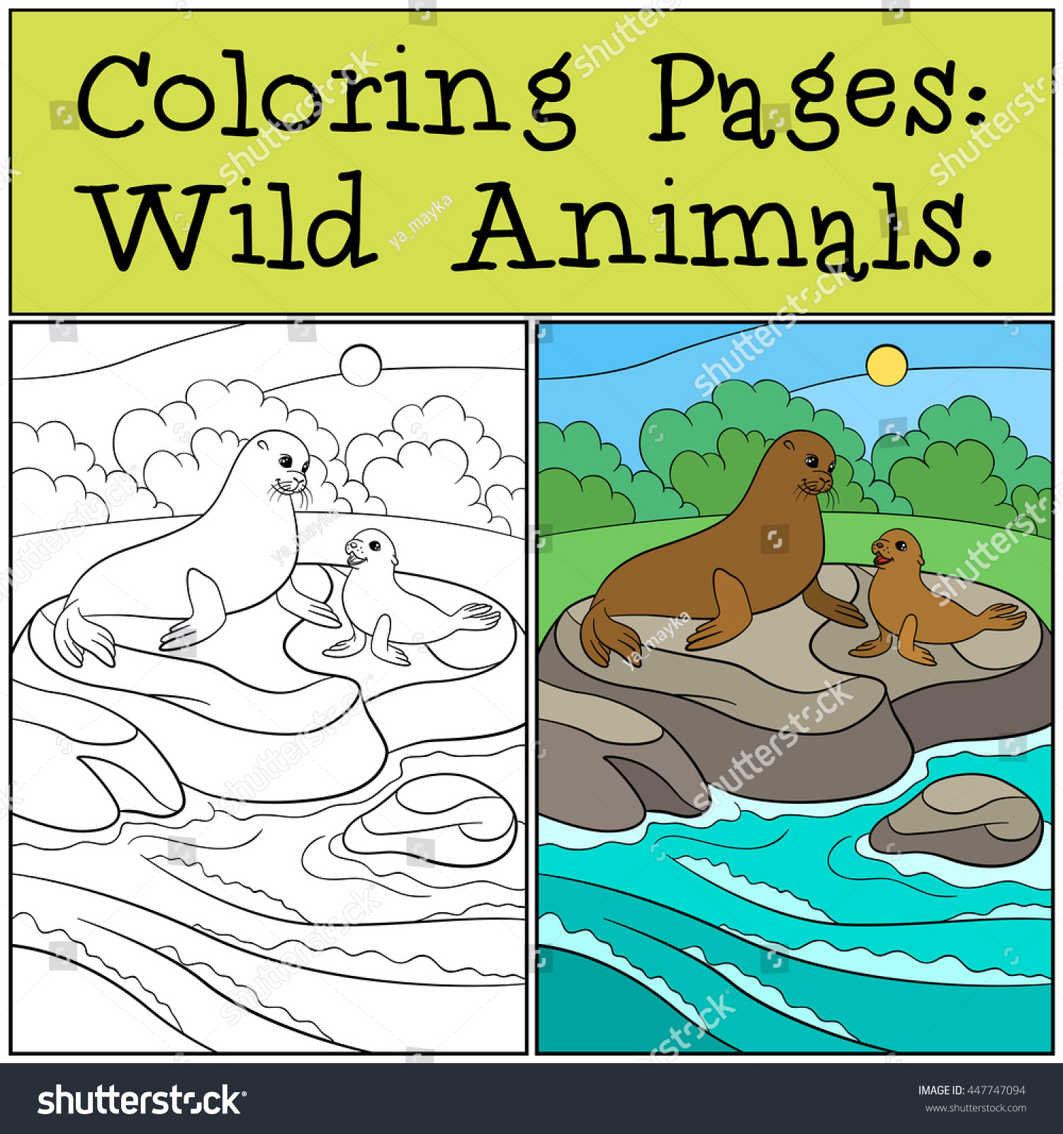 Coloring page example mother fur seal stock vector royalty free