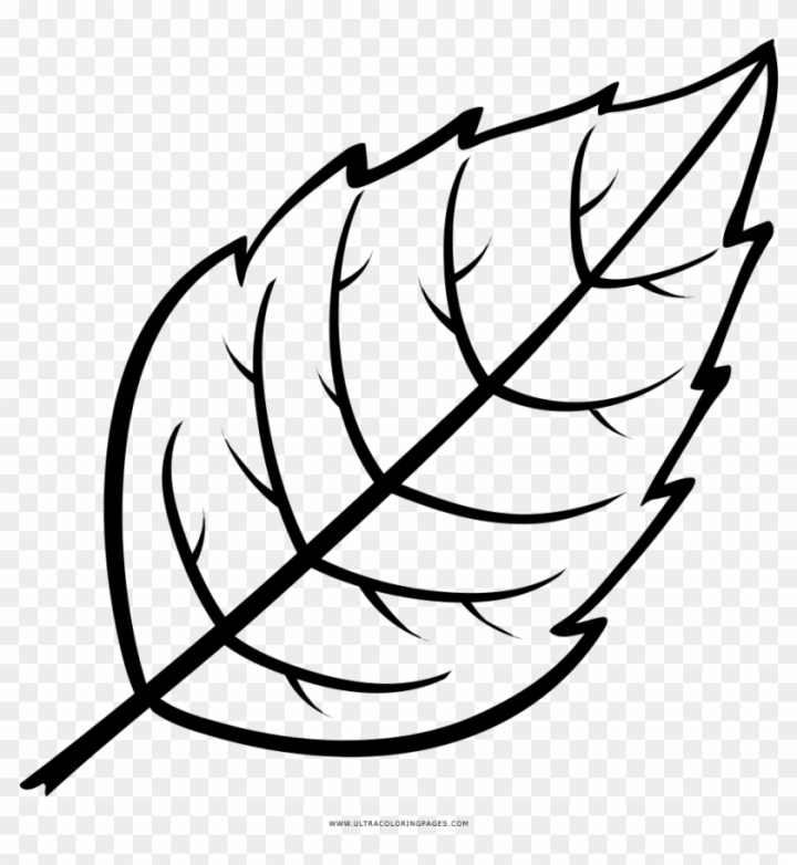 Free leaf coloring page