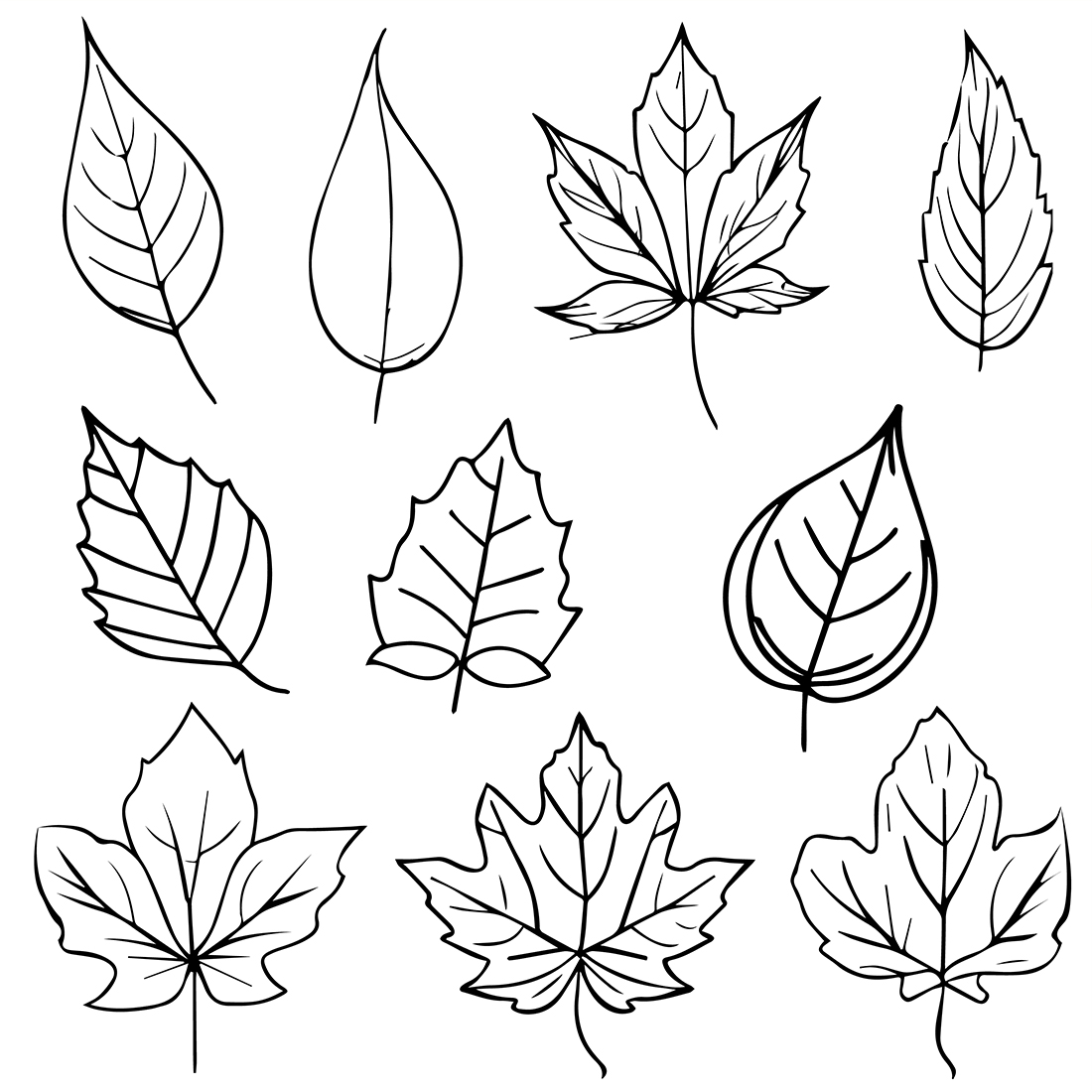 Set of autumn leaf coloring sheets autumn falling leaf line drawings hand drawing leaves line art