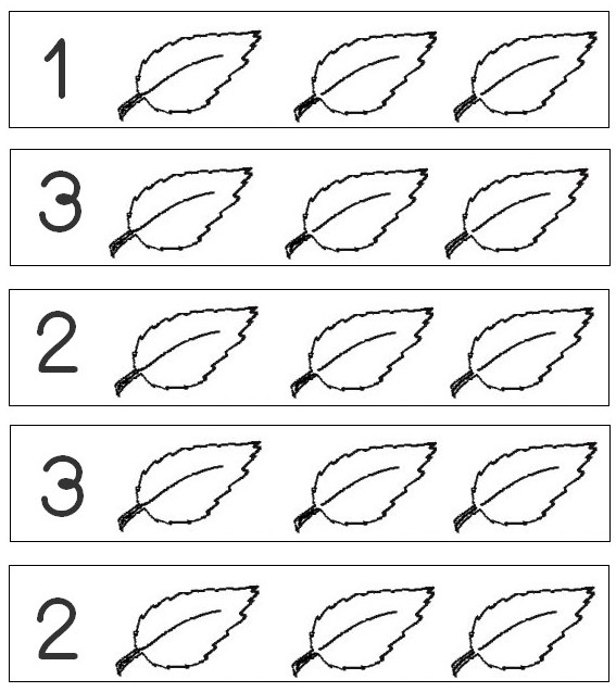 Coloring page preschool worksheets autumn colour in the indicated number of leaves