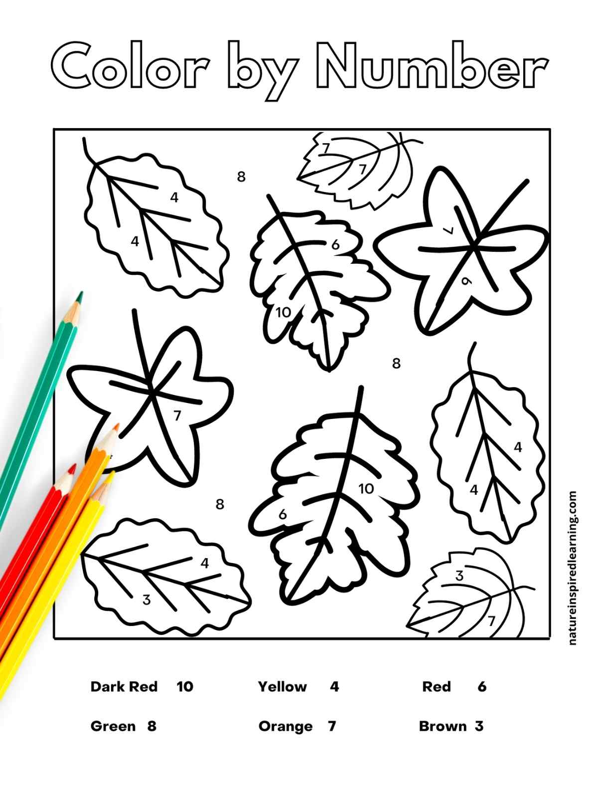 Fall color by number