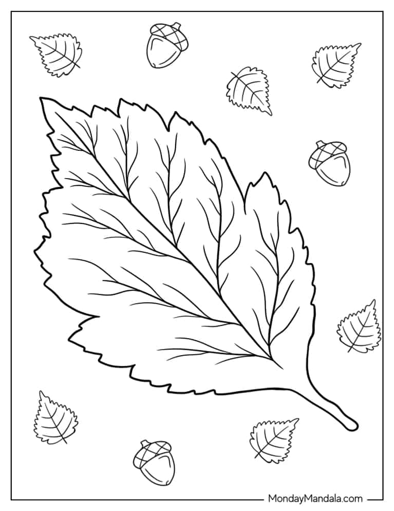 Fall leaves coloring pages free pdf printables