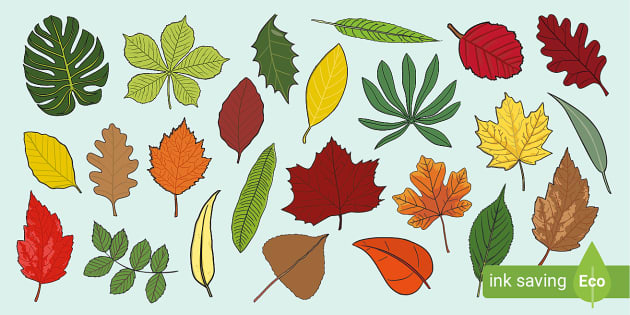A coloured leaves cut