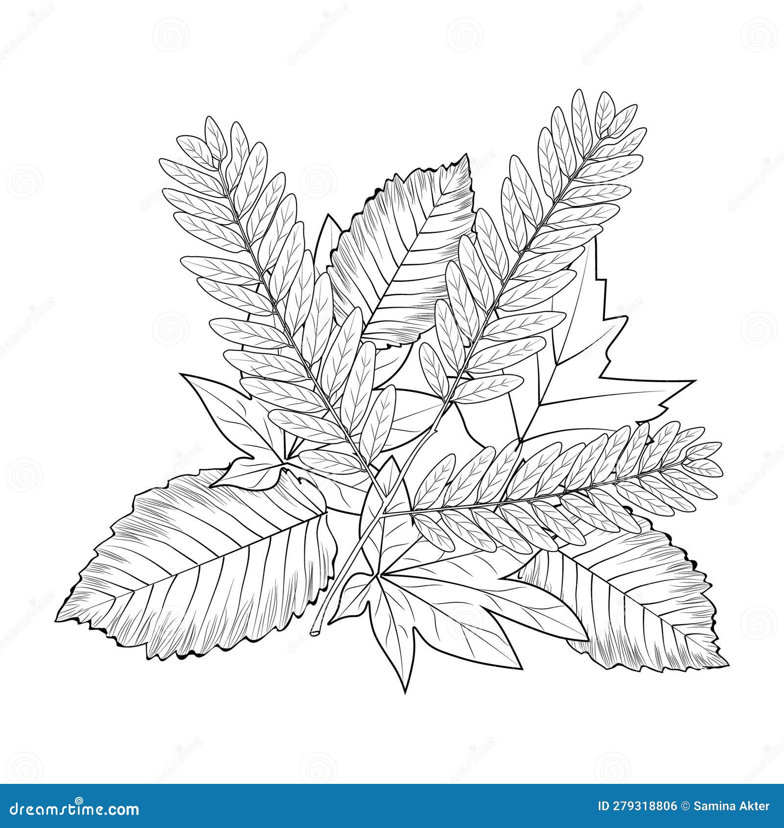 Botanic leaf vector illustration autumn falling leaves sketch hand drawing isolated image coloring page stock vector