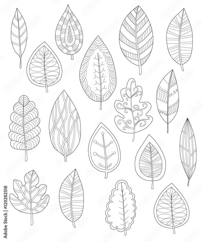 Collection of leaves for coloring pages set of different leaves for coloring pages hand drawn adult coloring page outline vector illustration vector