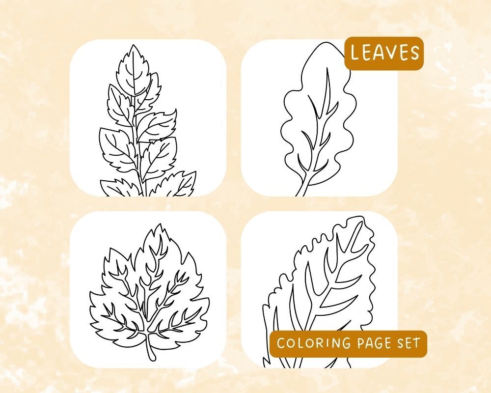 Leaves coloring page set in