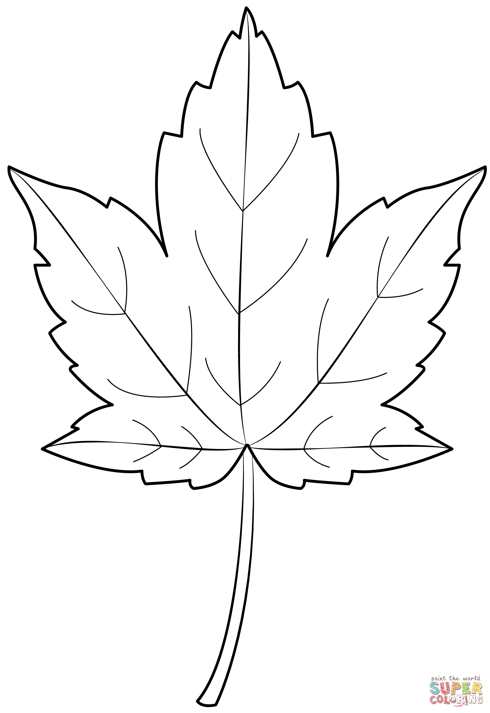 Sycamore leaf coloring page free printable coloring pages