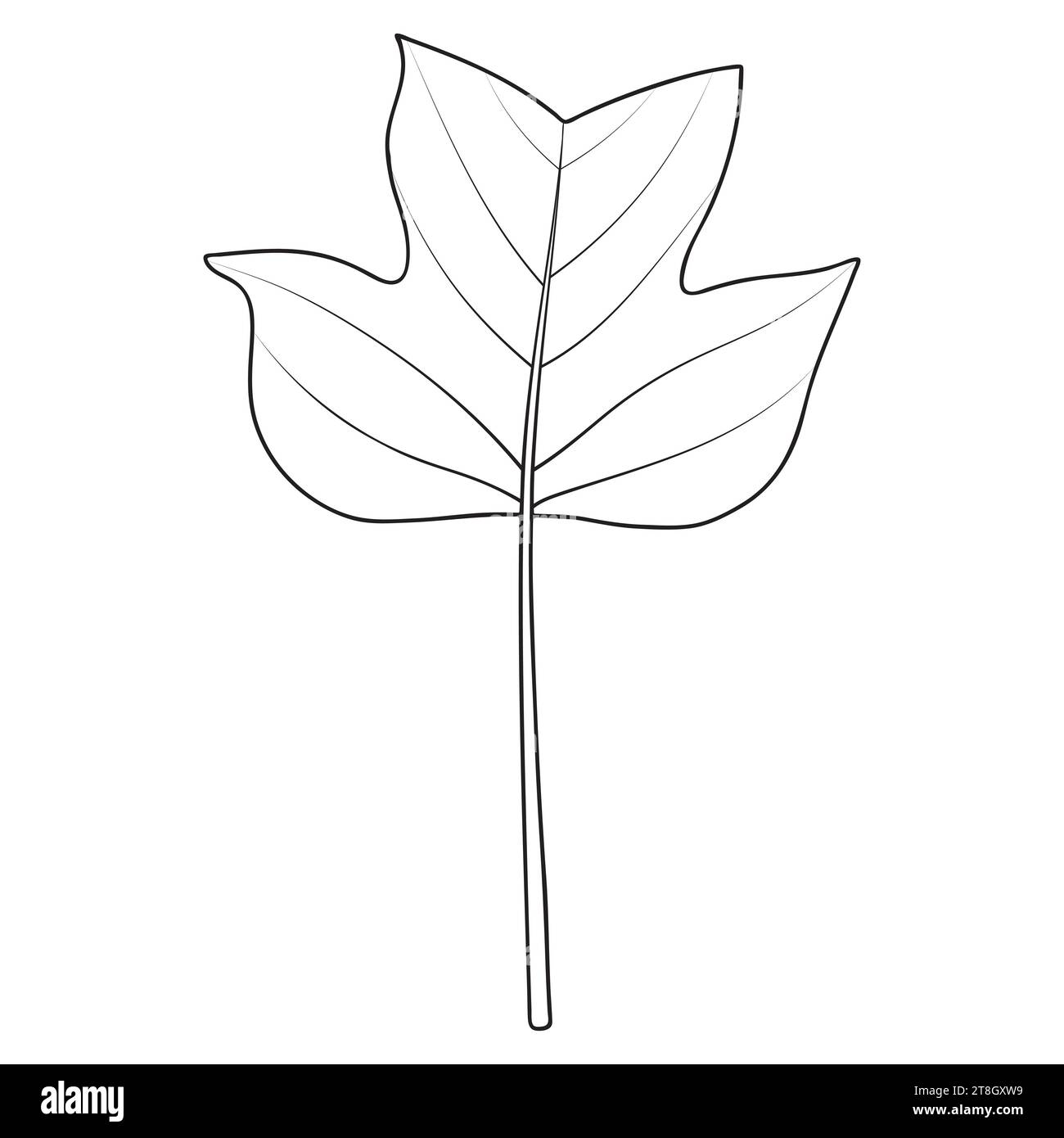Foliage coloring stock vector images