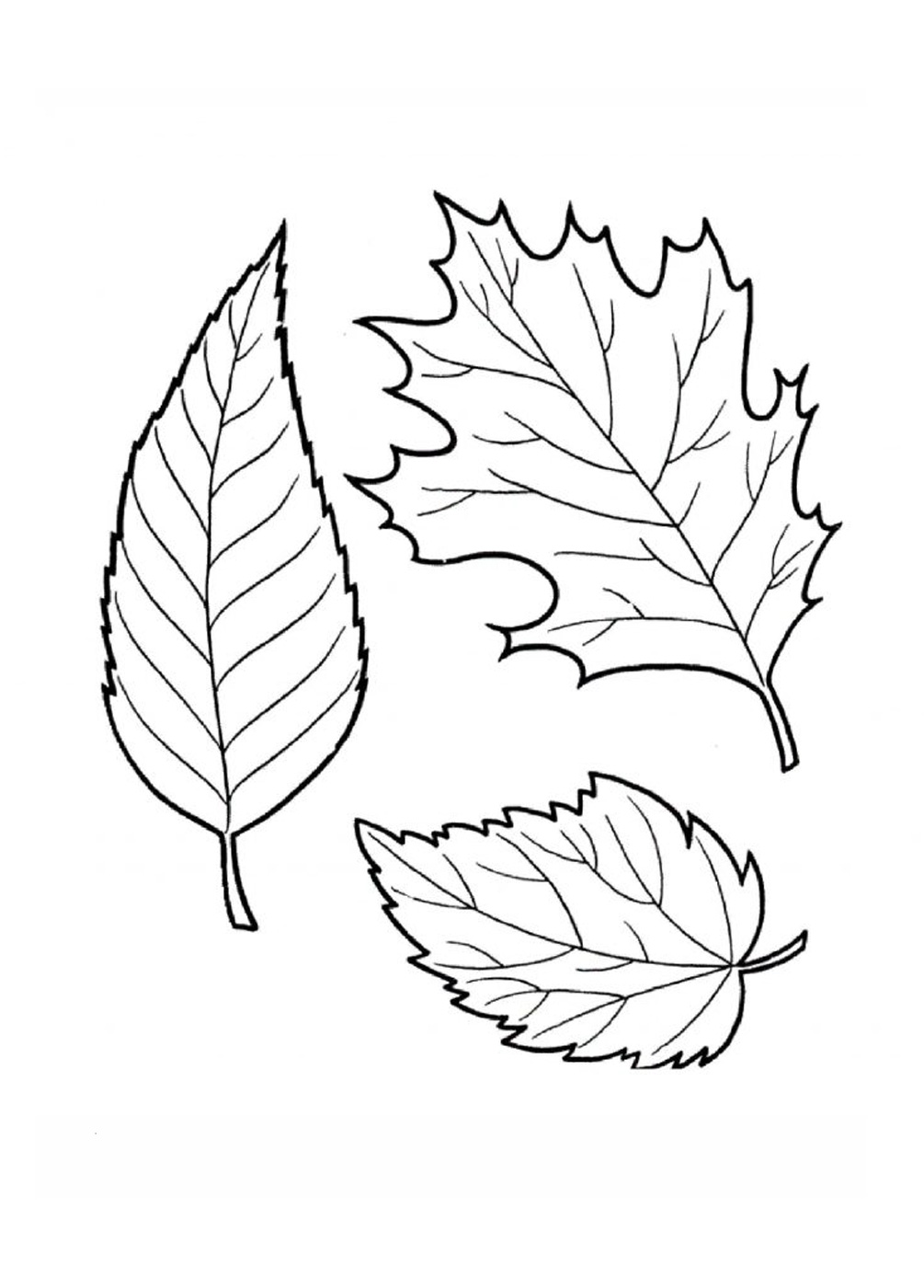 Coloring pages printable leaf coloring pages for adults