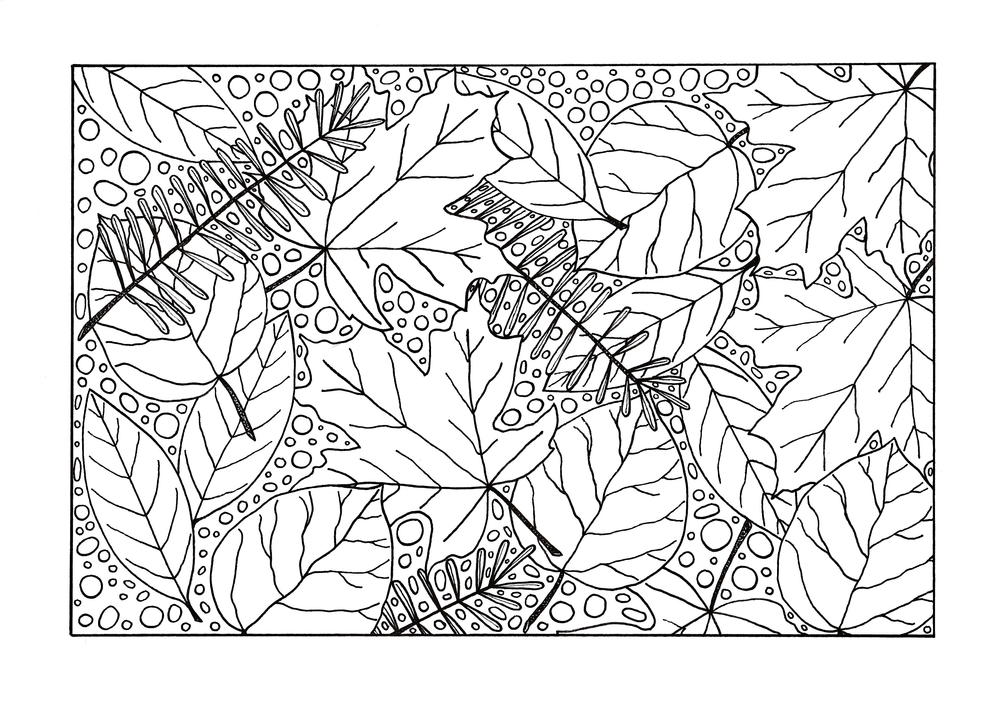 Medley of fall leaves adult coloring page