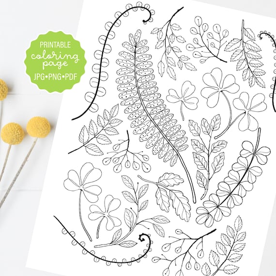 Forest leaves coloring page fern botanical coloring sheet woodland greenery adult coloring printable or digital