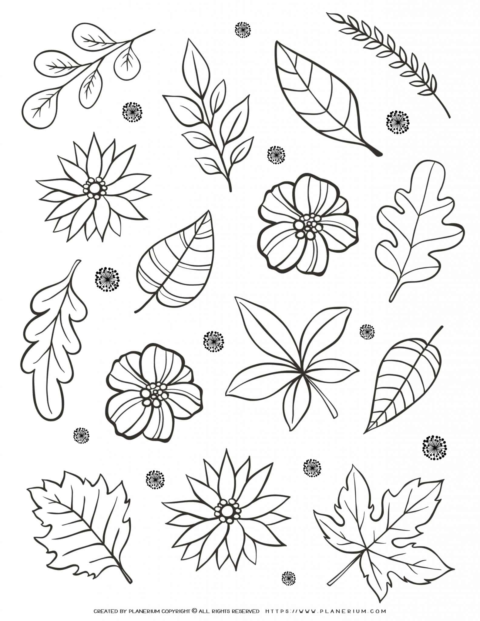 Adult coloring page