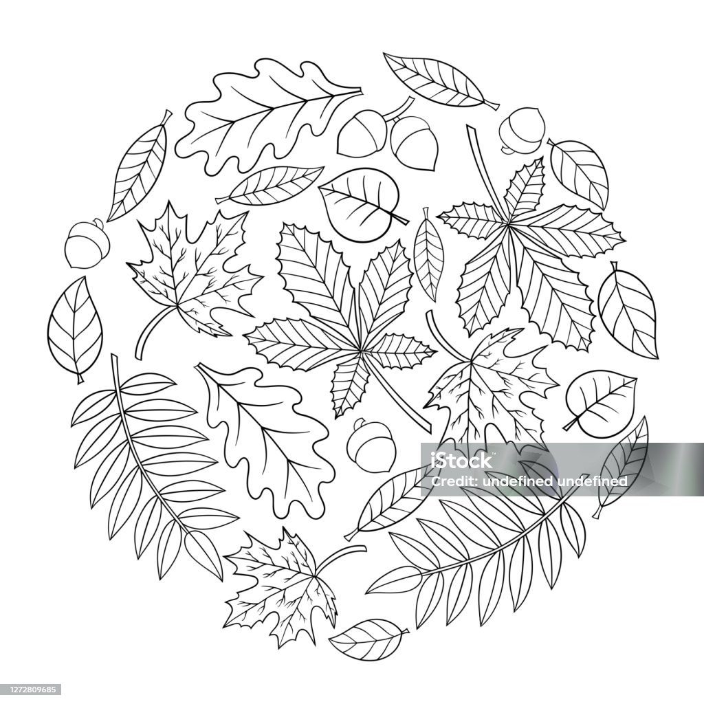 Coloring page with autumn leaves stock illustration