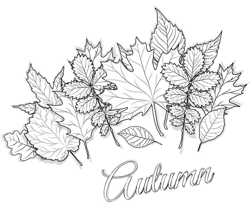 Autumn coloring page stock illustrations â autumn coloring page stock illustrations vectors clipart