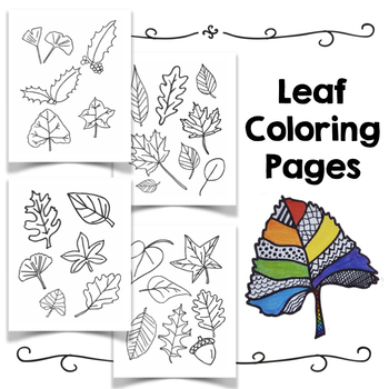 Leaf templates