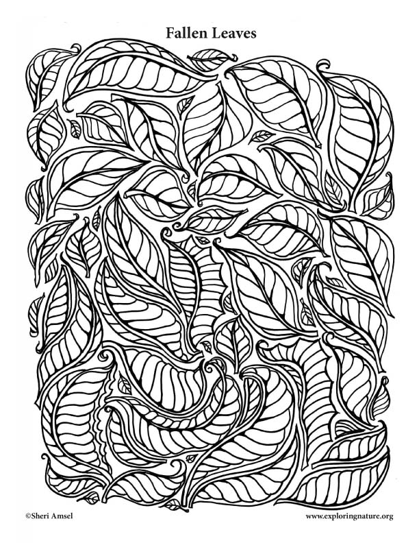 Autumn leaves coloring page