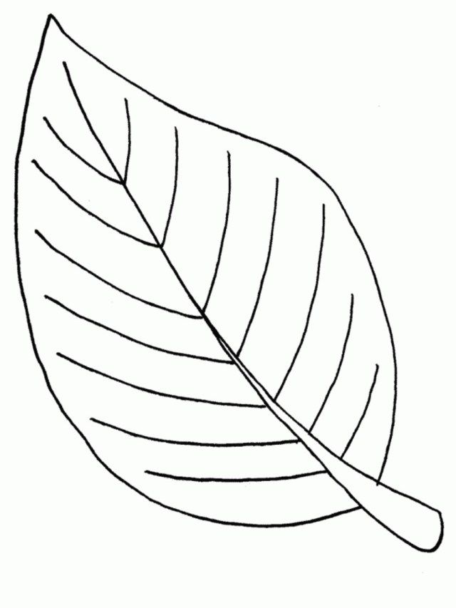 Inspiration picture of leaf coloring page