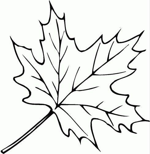 Leaf coloring page crafts and worksheets for preschooltoddler and kindergarten