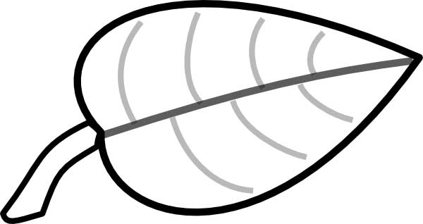 Leaf loring page for kids