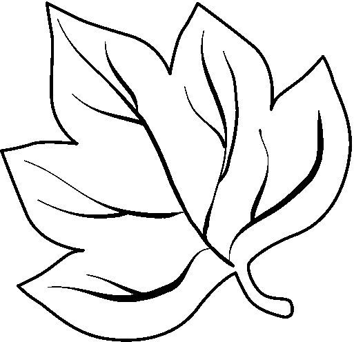Leafcoloringpagefokids â crafts and worksheets for preschooltoddler and kindergarten ððññññ ðñðµððððµ ððññññ ðððððð ððññð