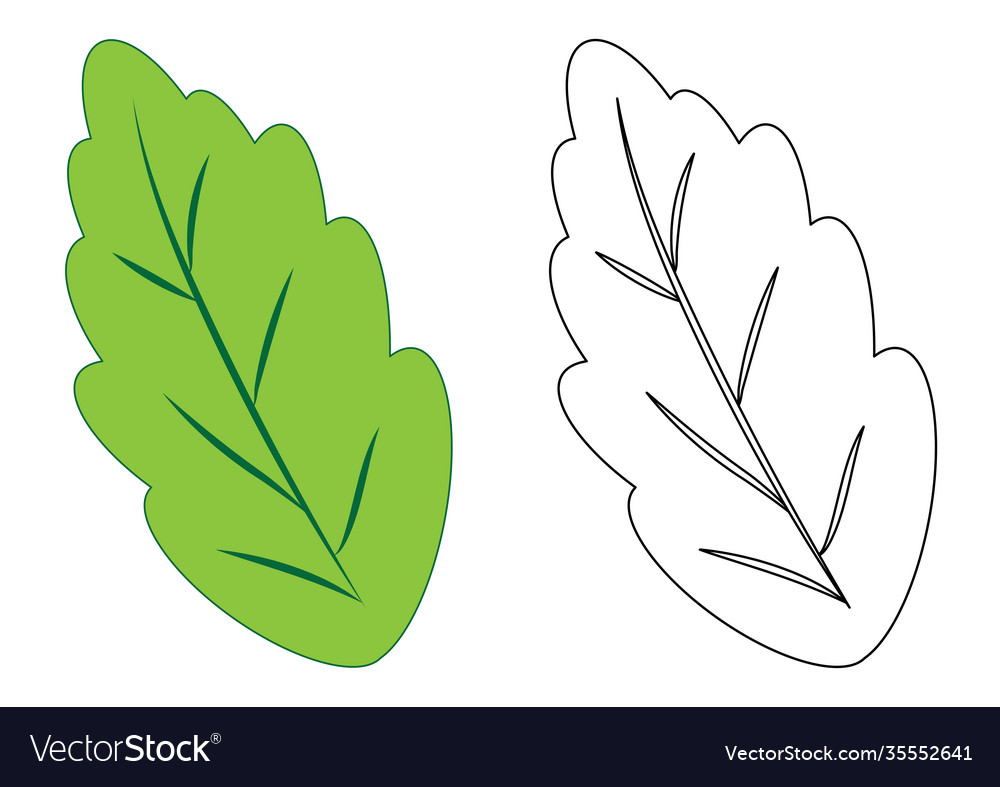 Leaf coloring page game for kids royalty free vector image
