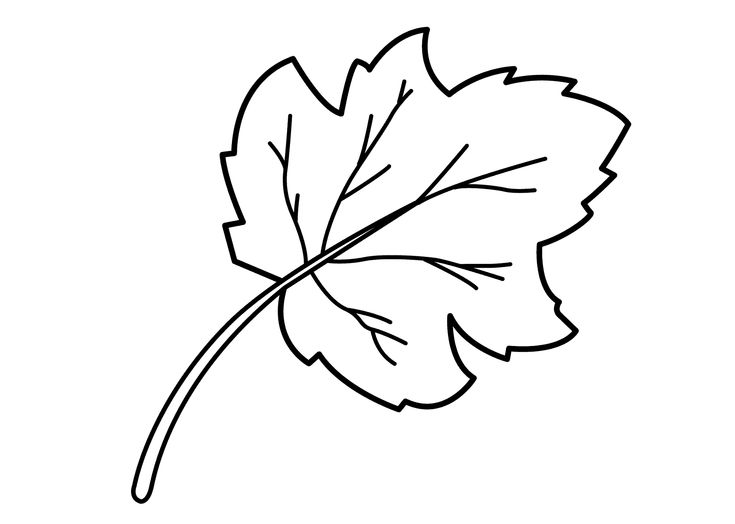Leaf coloring pages for preschool activity shelter leaf coloring page leaves coloring book coloring pages