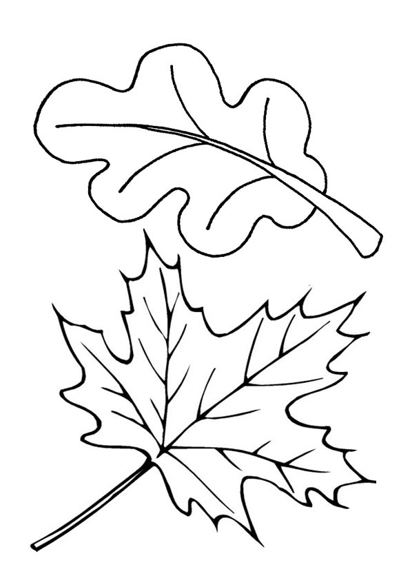 Coloring pages free printable leaf coloring page