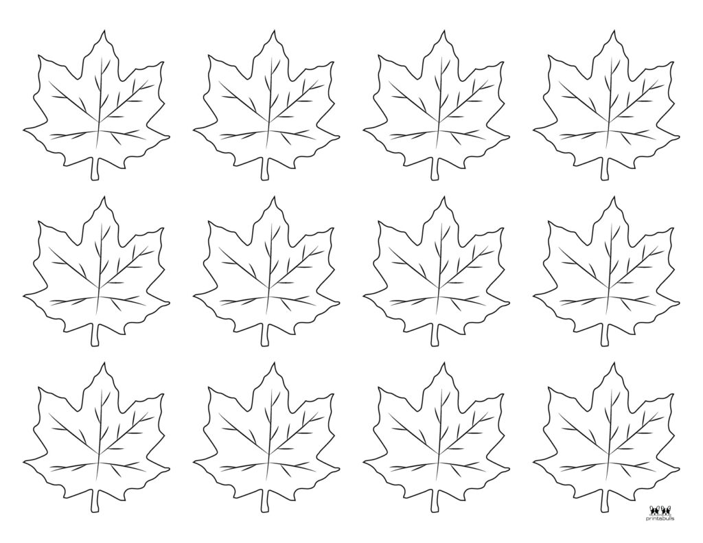 Leaf outlines templates coloring pages