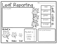 Best leaf man ideas autumn activities fall preschool leaf man