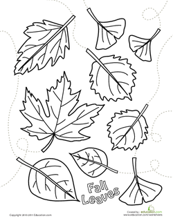 The adventures of leaf man lesson plan