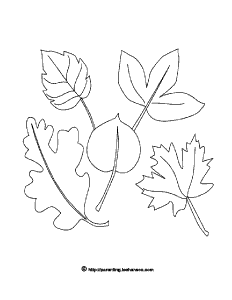 Leaves coloring page