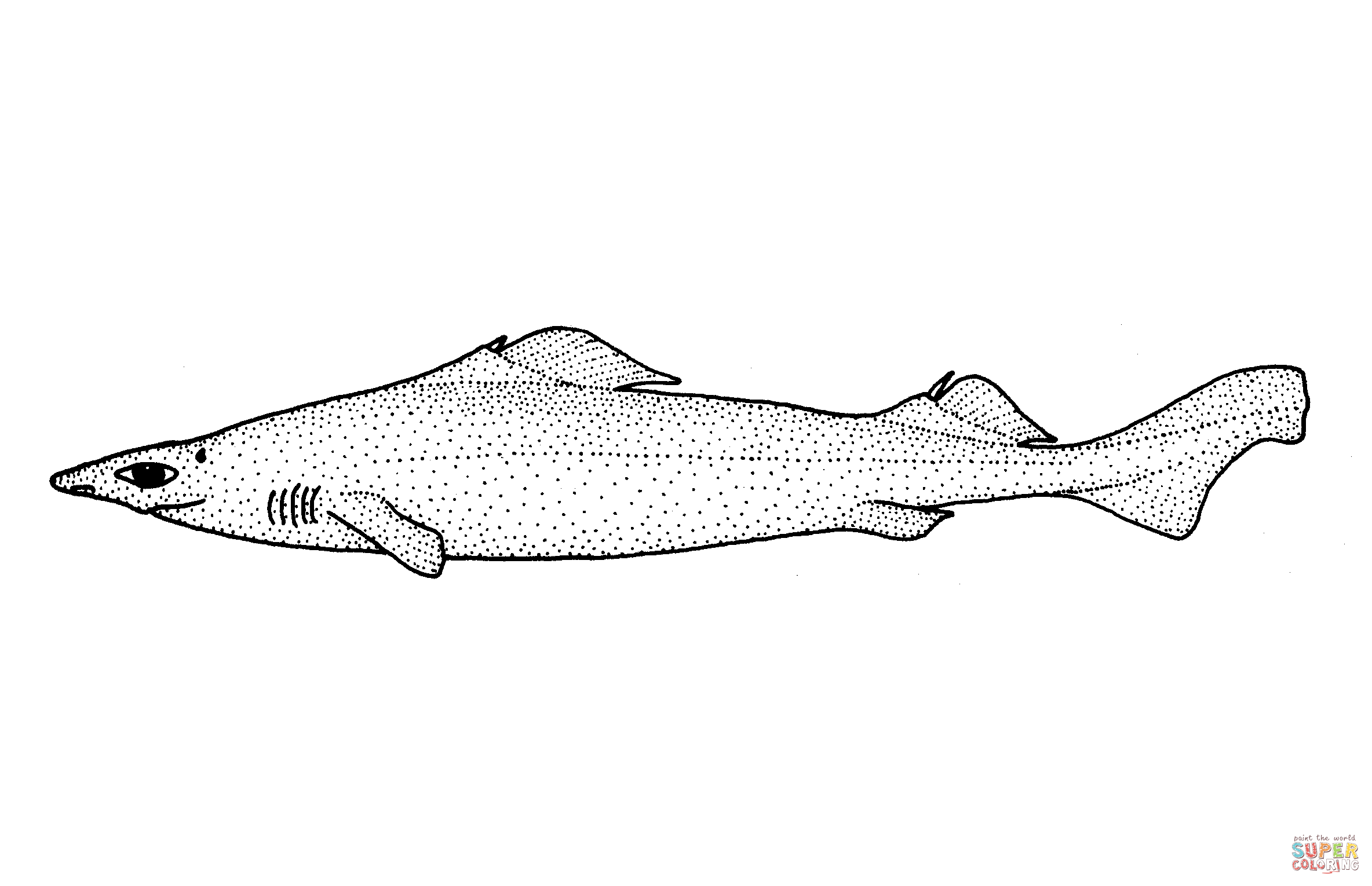 Centrophorus squamosus leafscale gulper shark coloring page free printable coloring pages