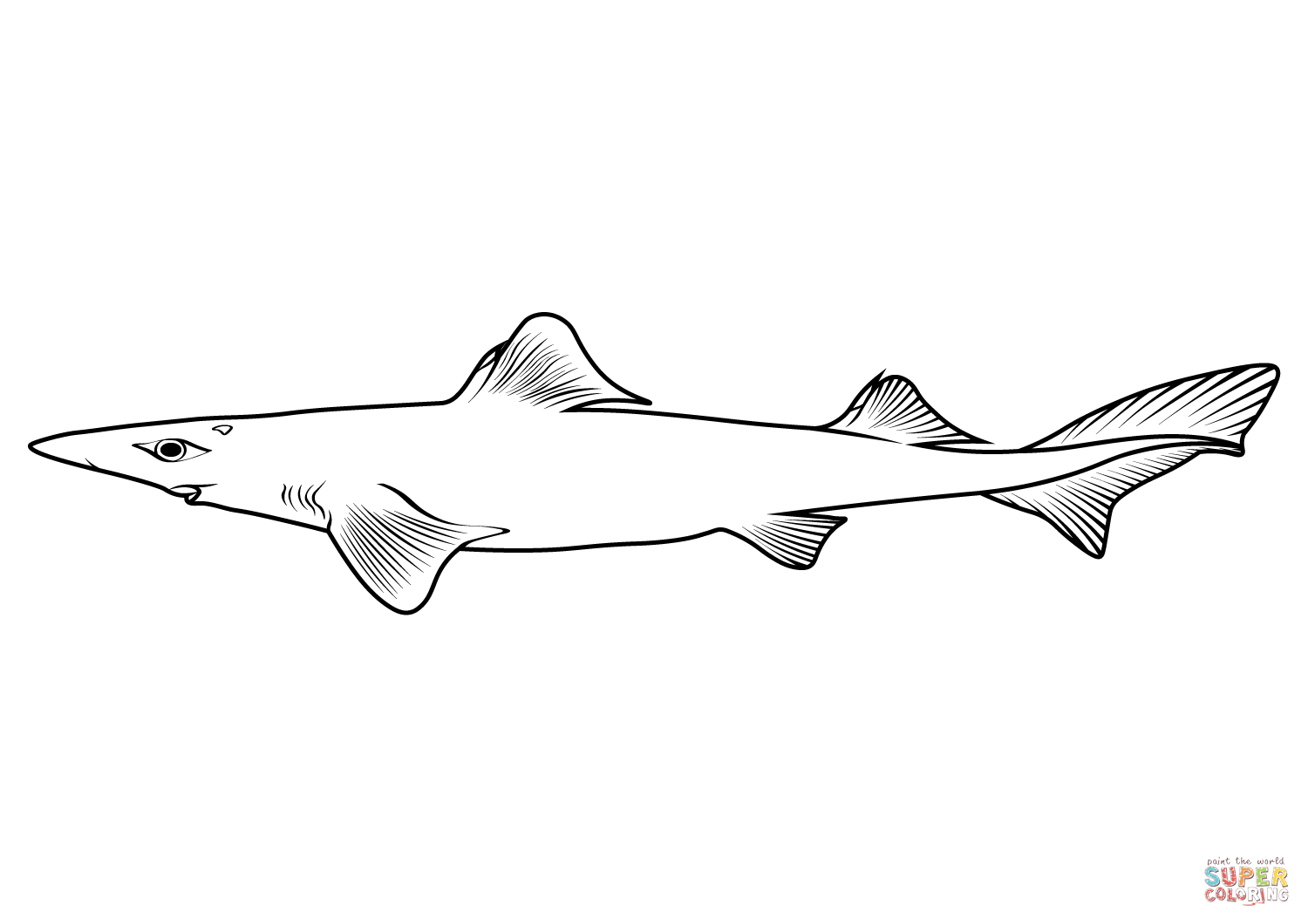 Dumb gulper shark centrophorus harrissoni coloring page free printable coloring pages