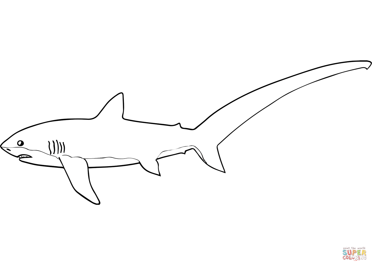 Mon shark thresher coloring page free printable coloring pages