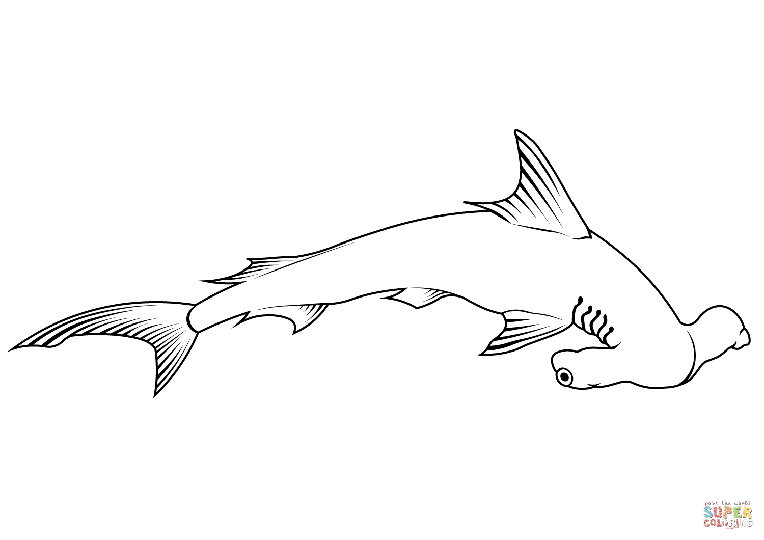 Scalloped hammerhead sphyrna lewini coloring page free printable coloring pages