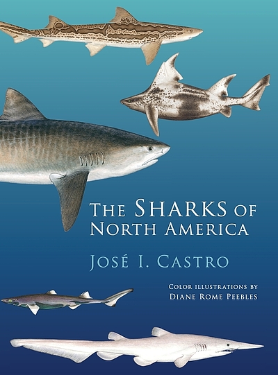 The sharks of north america