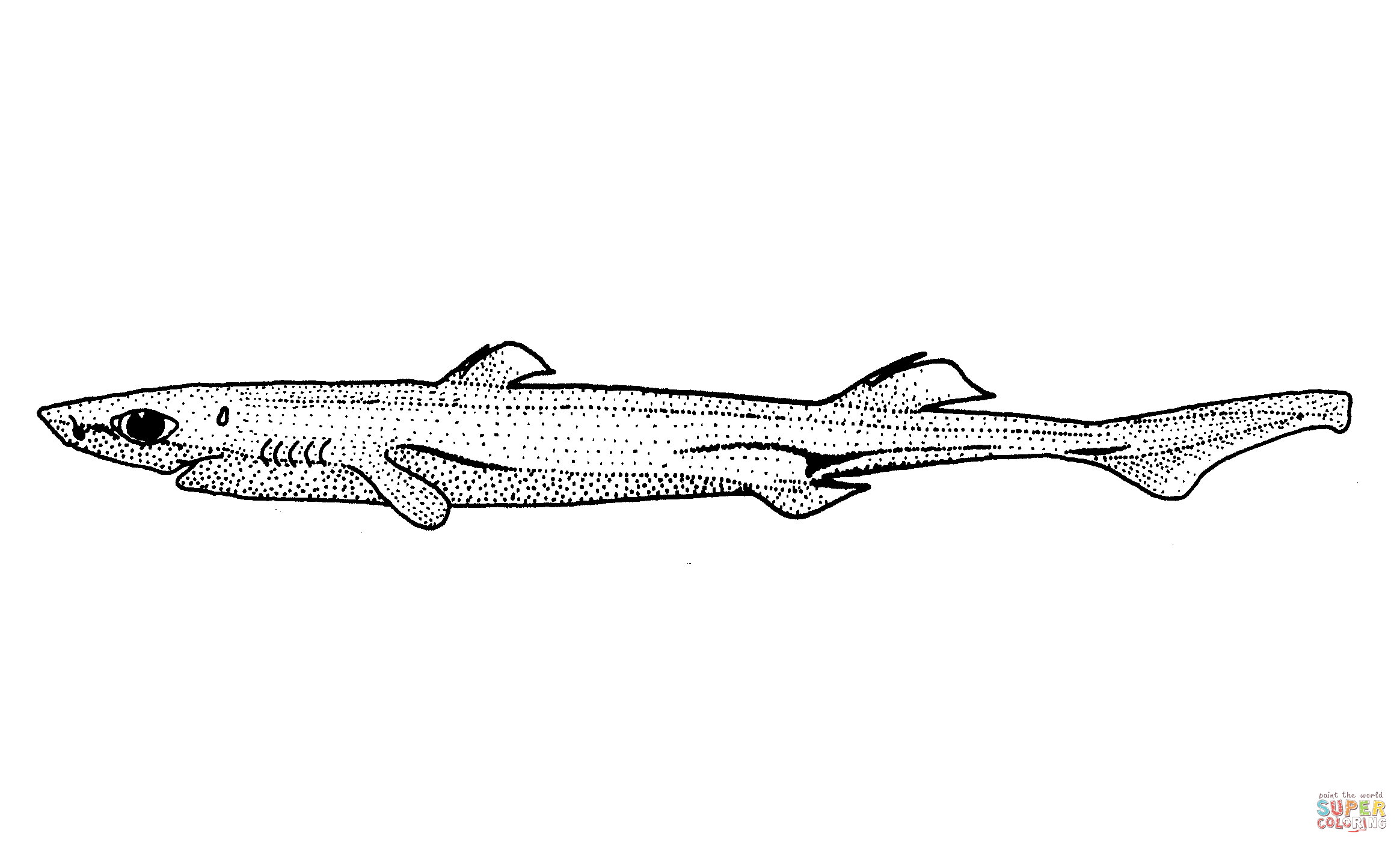 Etmopterus lucifer blackbelly lanternshark coloring page free printable coloring pages