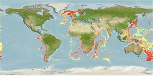Centrophorus squamosus leafscale gulper shark fisheries