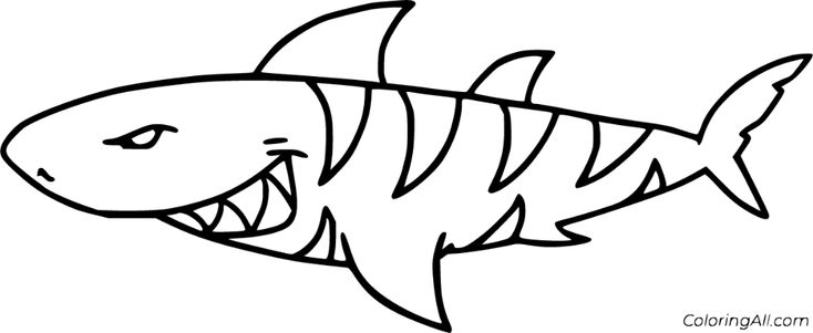 Free printable tiger shark coloring pages in vector form easy to print from any device and automically fâ shark coloring pages coloring pages tiger shark